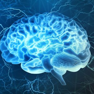 O que é Neurociência? E como ela pode nos ajudar?