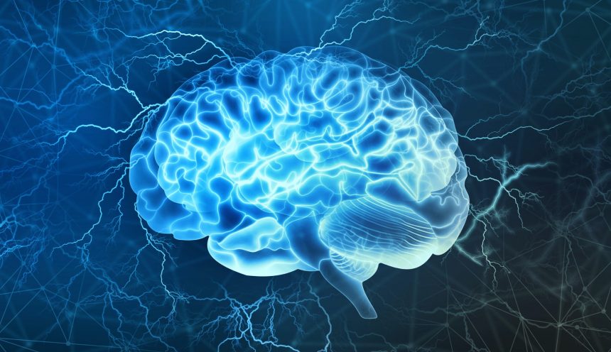O que é Neurociência? E como ela pode nos ajudar?